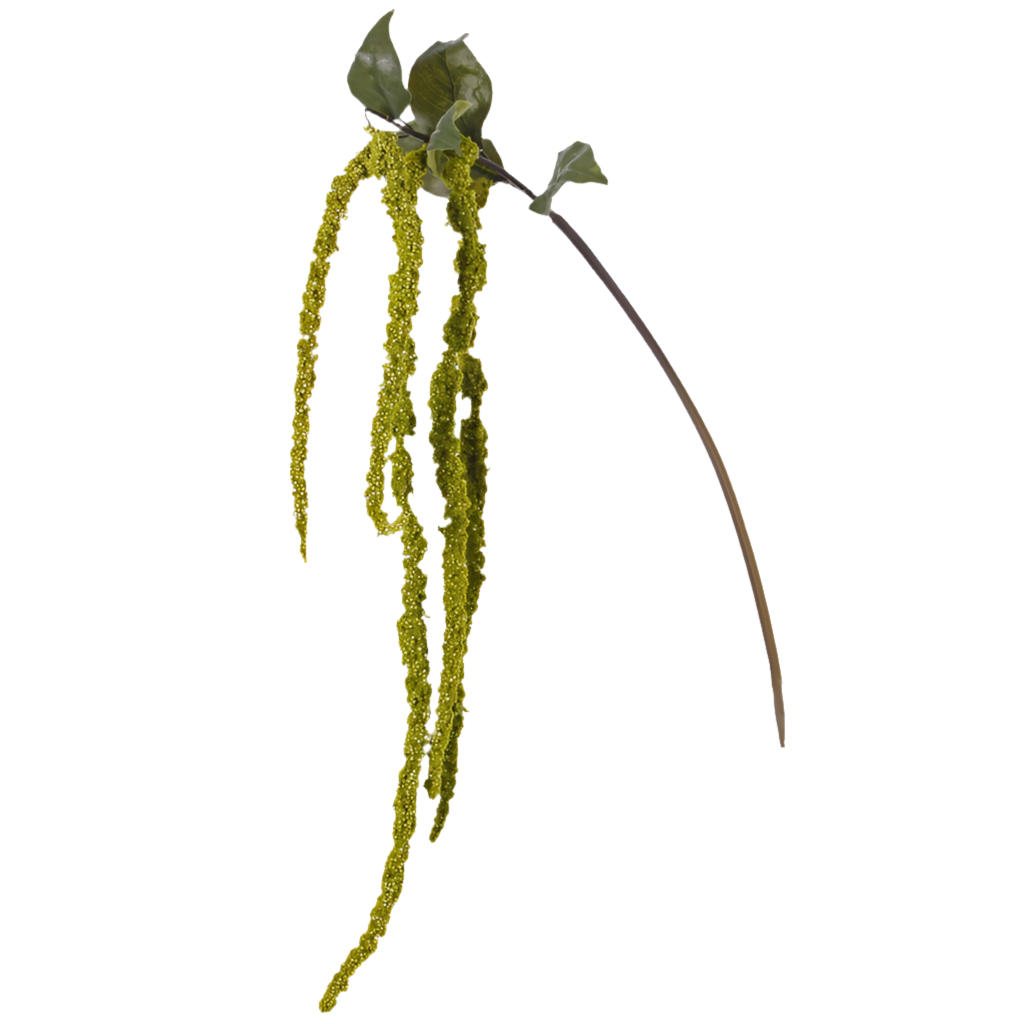 Amaranthus | Amarante 125cm Green