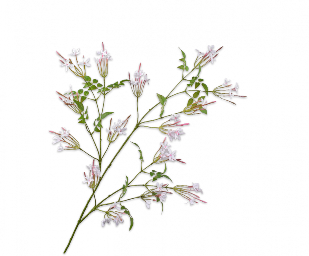 Jasmin | Jasmine 137cm White