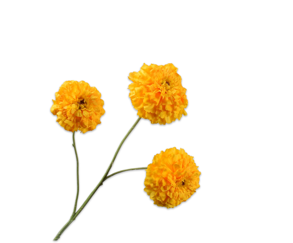 Tagetes 63cm Yellow