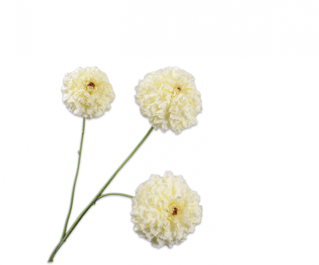Tagetes 63cm White