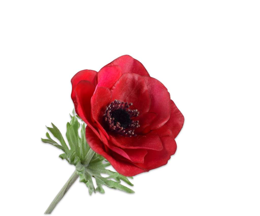 Anemone | Anémone 53cm RealTouch Beauty