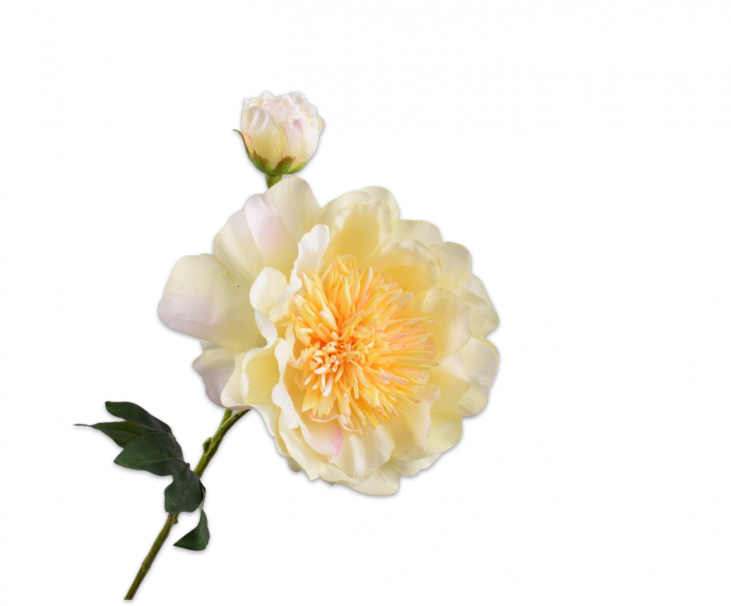 Peony | Pivoine 79cm RealTouch Cream