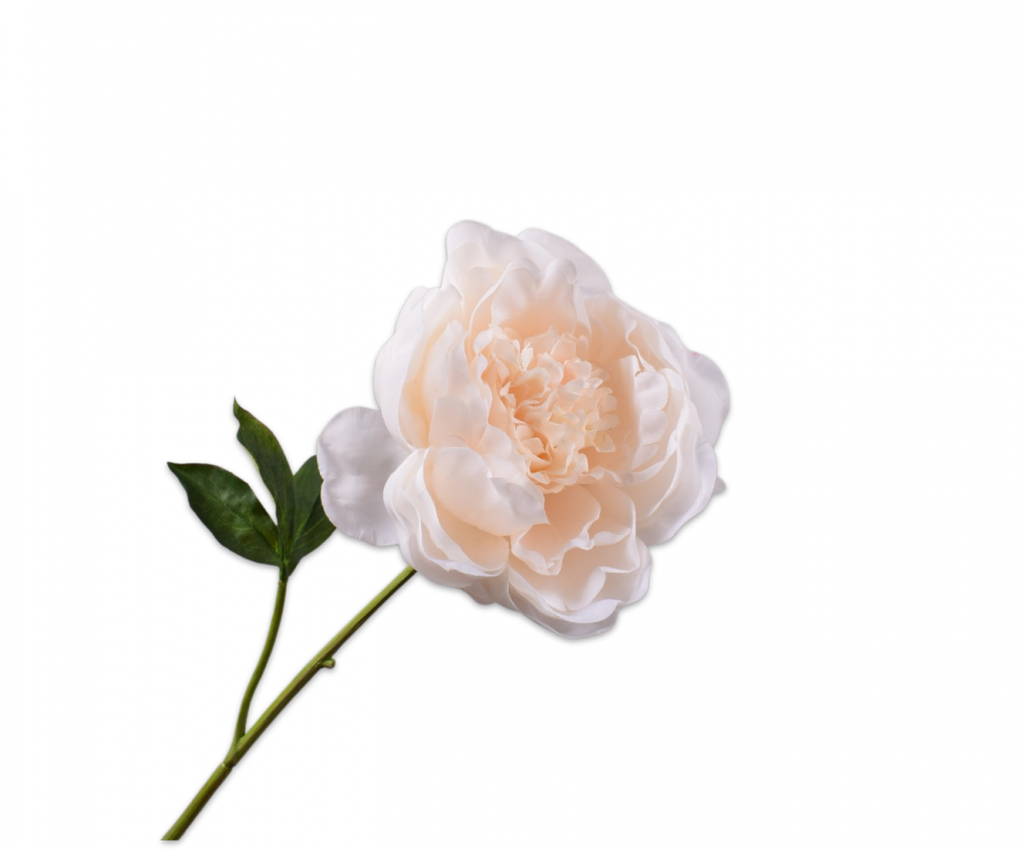 Peony | Pivoine 52cm RealTouch Cream
