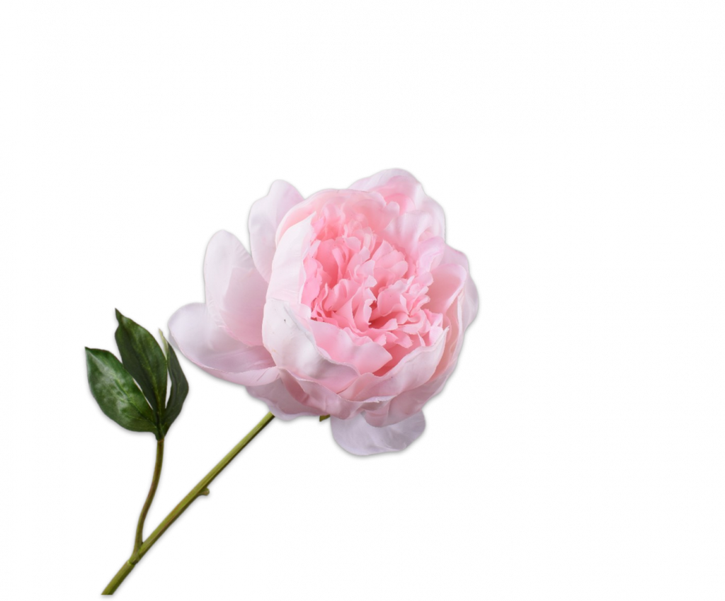 Peony | Pivoine 52cm RealTouch Light Pink