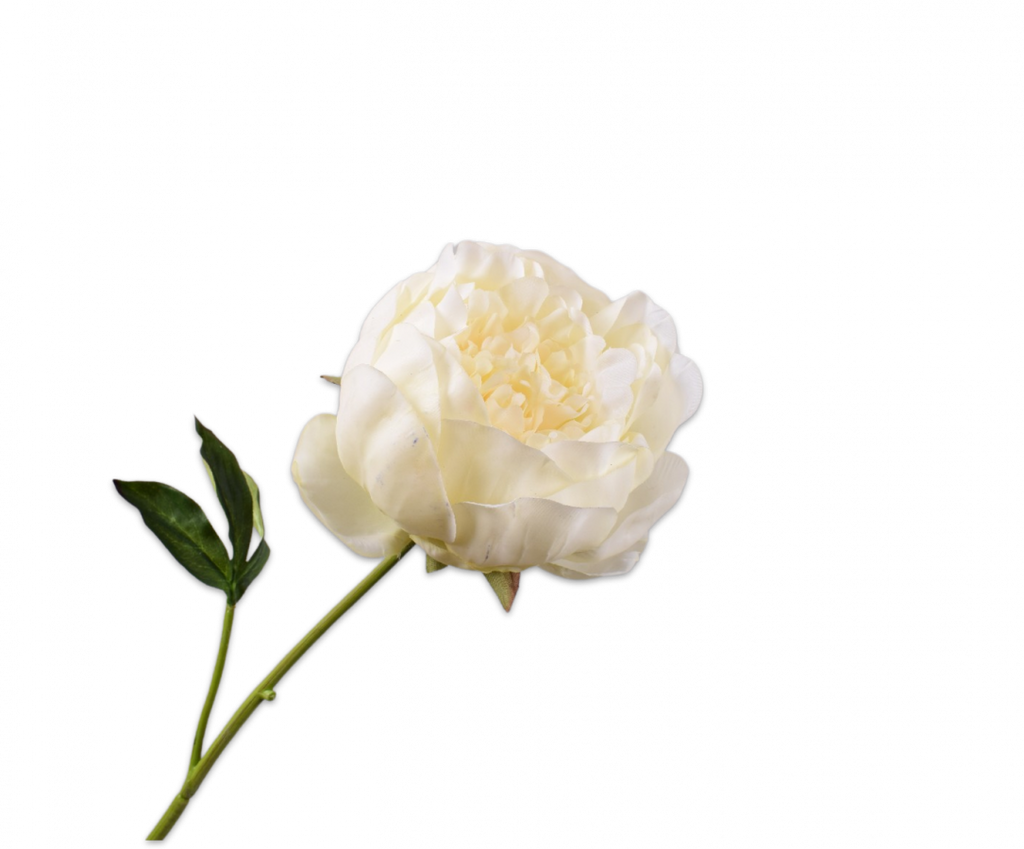 Peony | Pivoine 52cm RealTouch Light Yellow