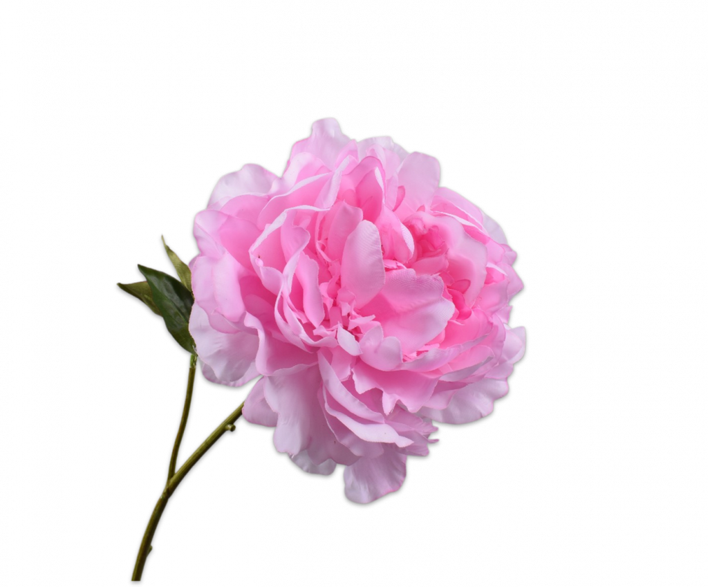 Peony | Pivoine 57cm RealTouch Pink
