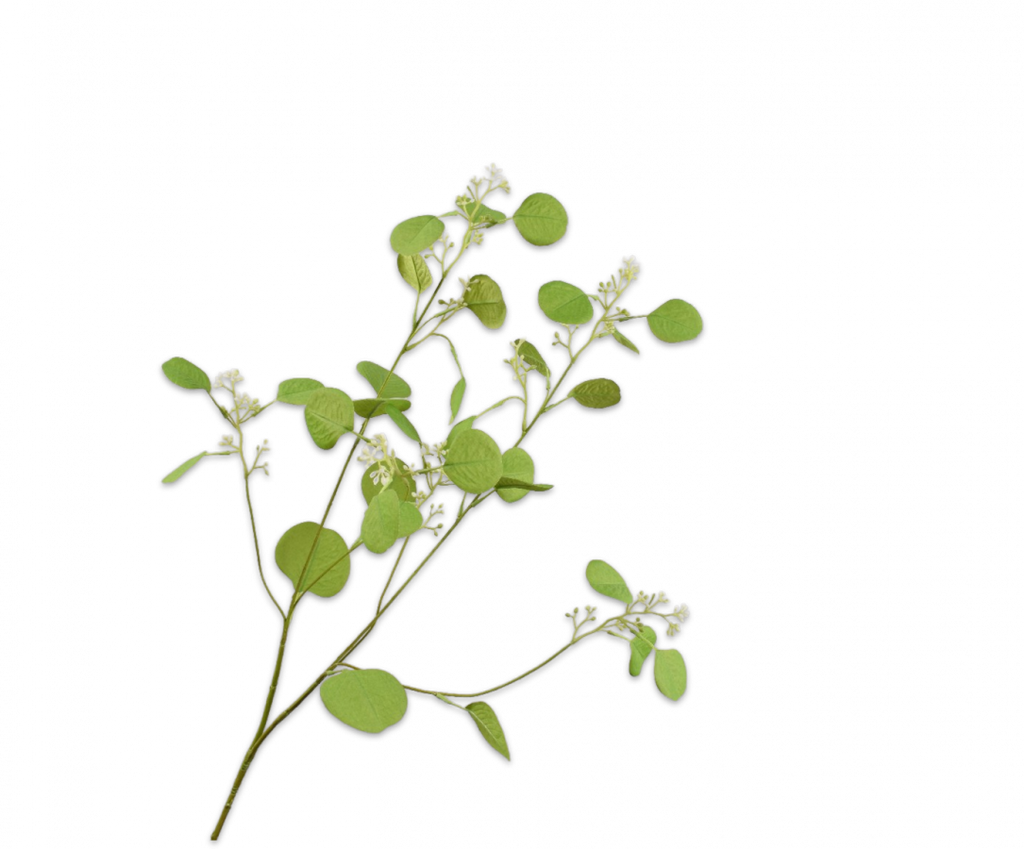 Eucalyptus 84cm Green
