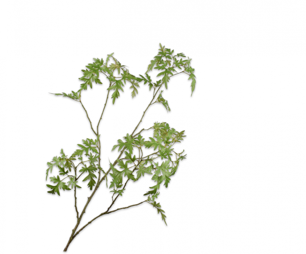Greenery | Feuillage 115cm Green