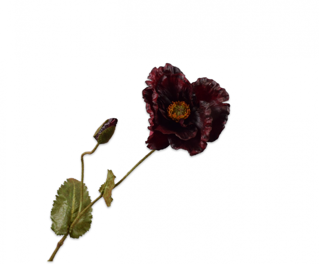 Poppy | Pavot 67cm RealTouch Burgundy