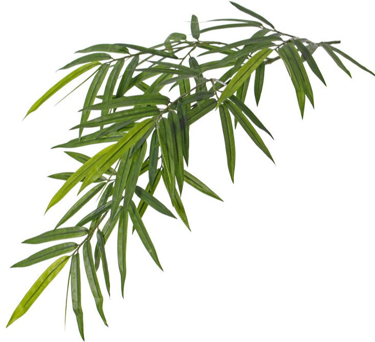 Bamboo 82cm Green UVsafe