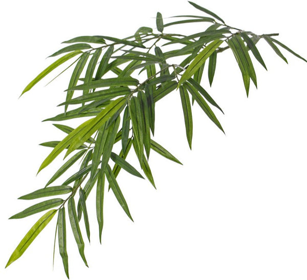 Bamboo 82cm Green UVsafe