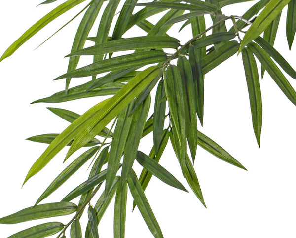 Bamboo 82cm Green UVsafe