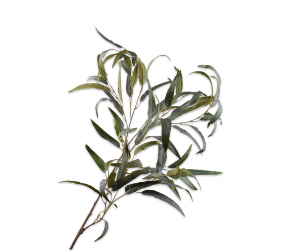 Eucalyptus 119cm Green