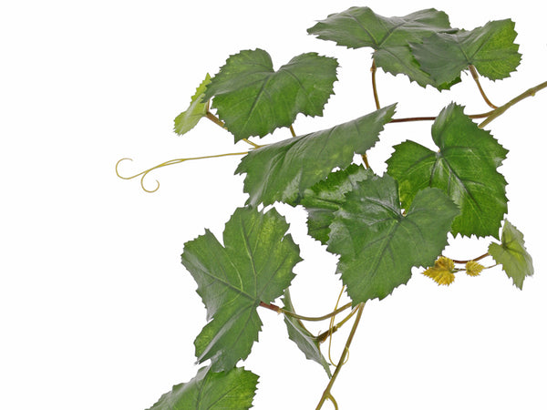 Grapevine | Vigne 62cm UVsafe
