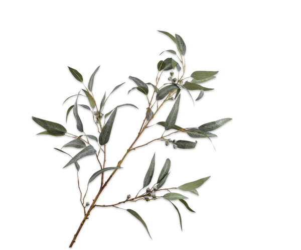 Eucalyptus 121cm Green