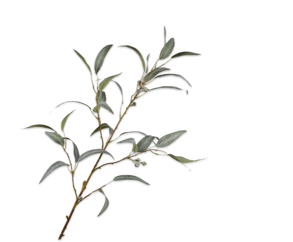 Eucalyptus 99cm Green