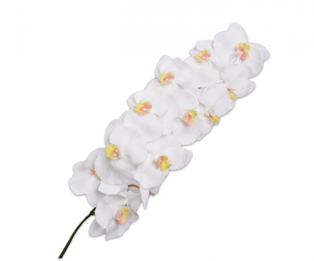 Orchid | Orchidée 110cm RealTouch White