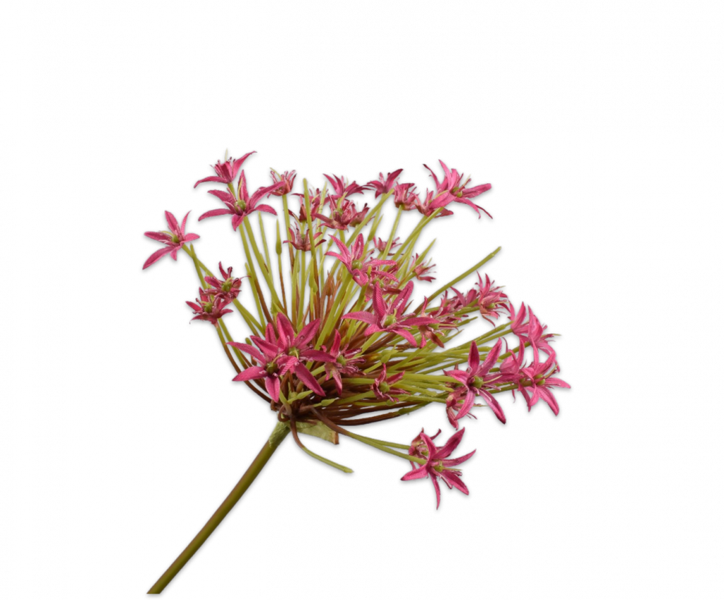 Allium 93cm Beauty