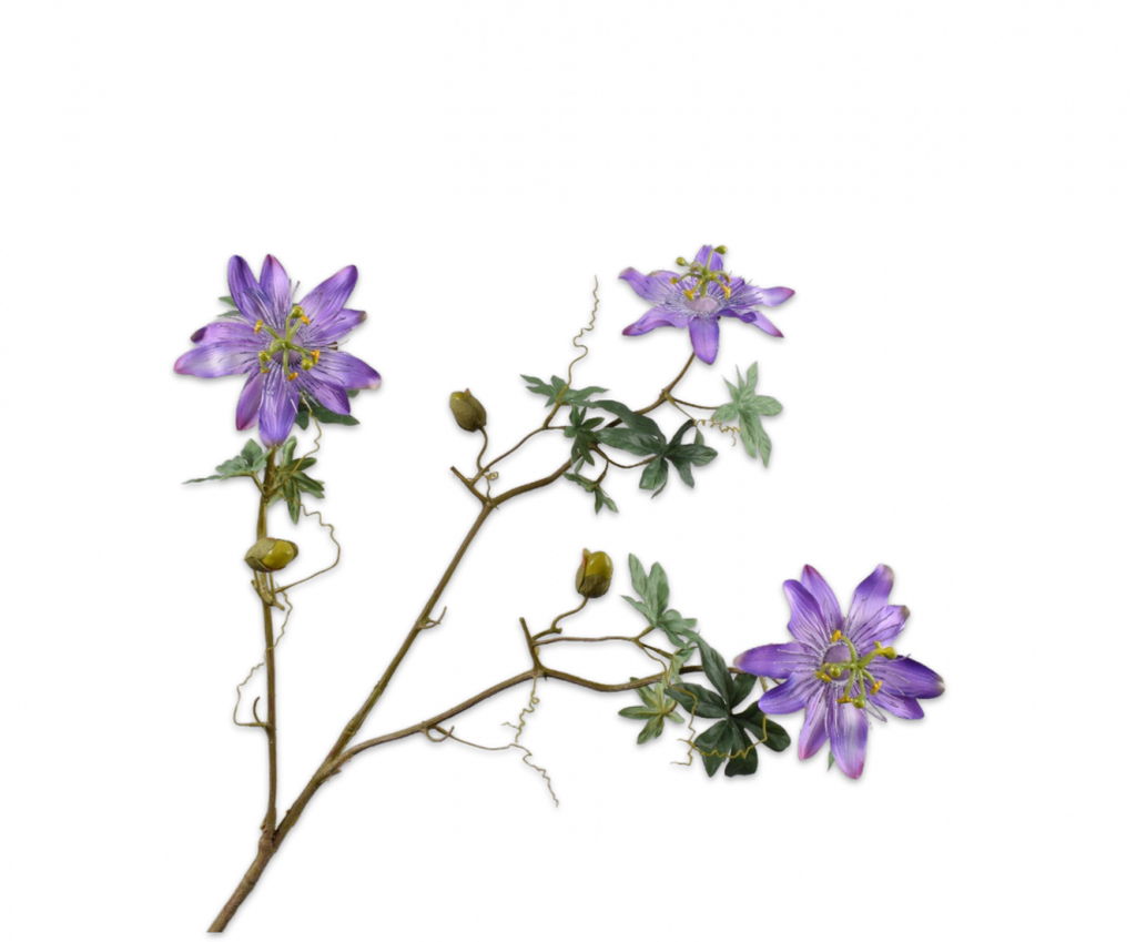 Passiflora 102cm Purple