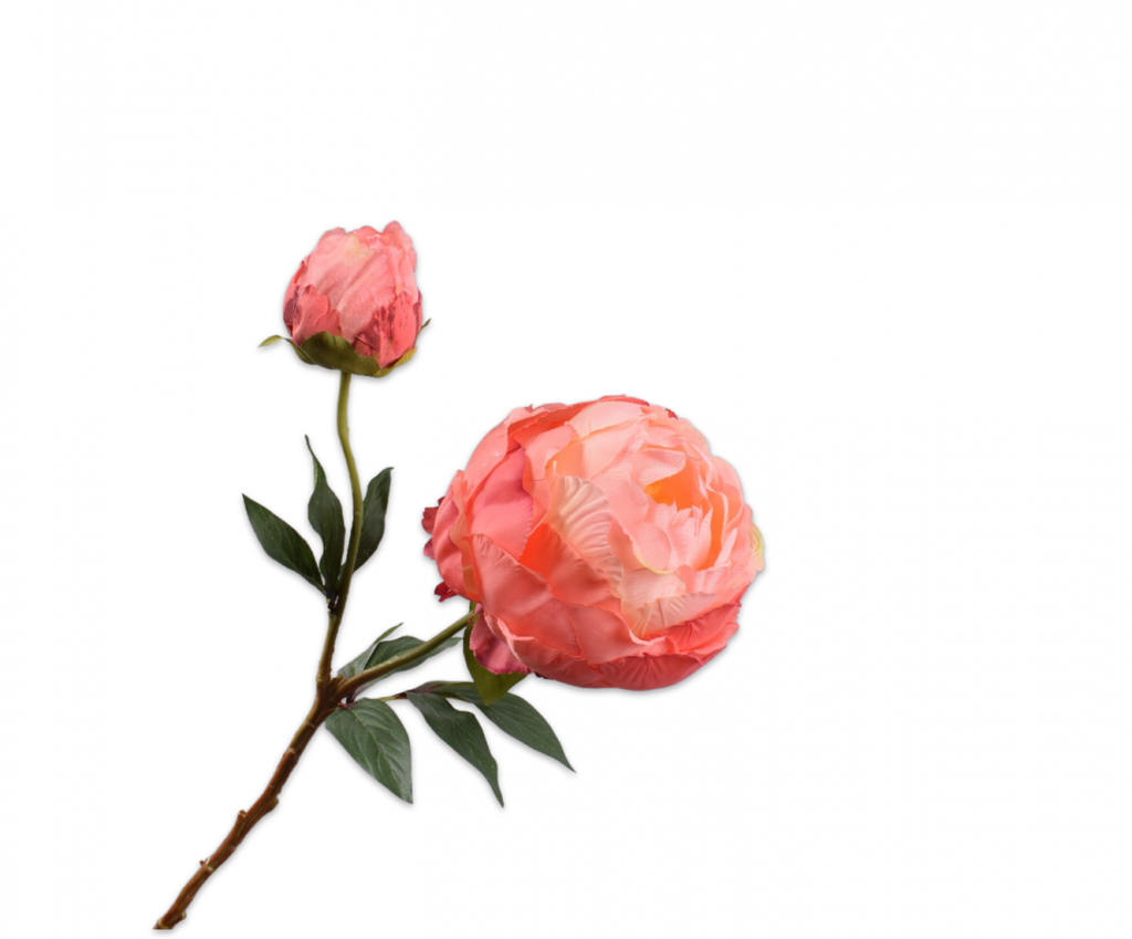 Peony | Pivoine 56cm Salmon