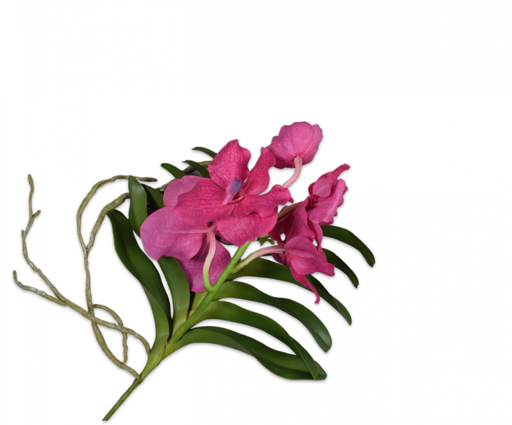 Orchid | Orchidée 42cm Beauty