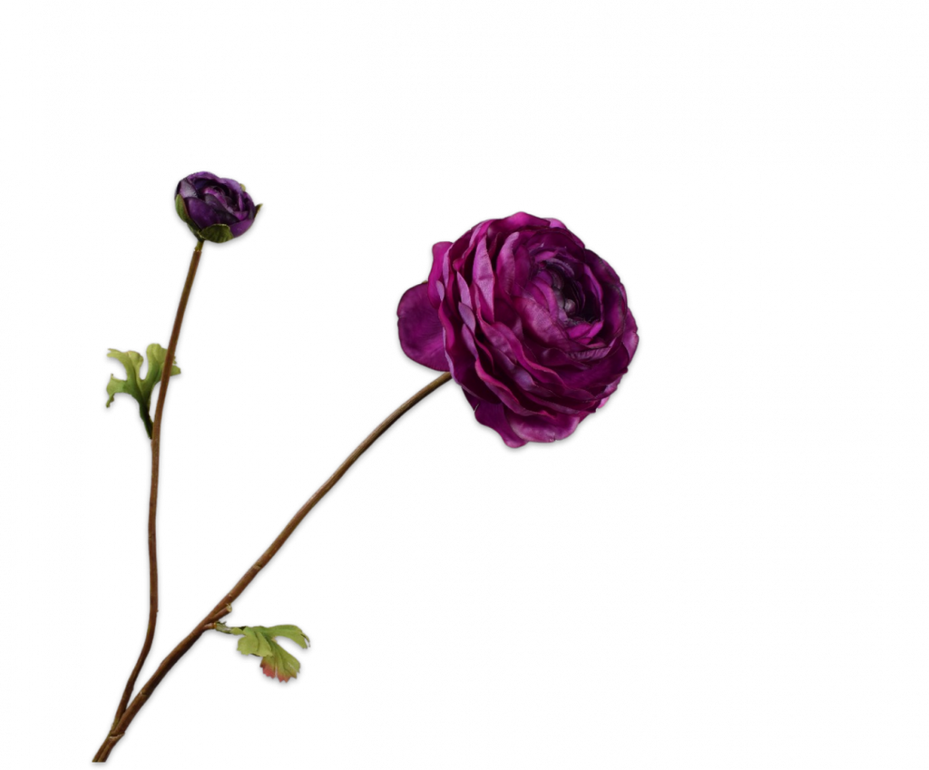 Ranunculus | Renoncule 65cm RealTouch Burgundy