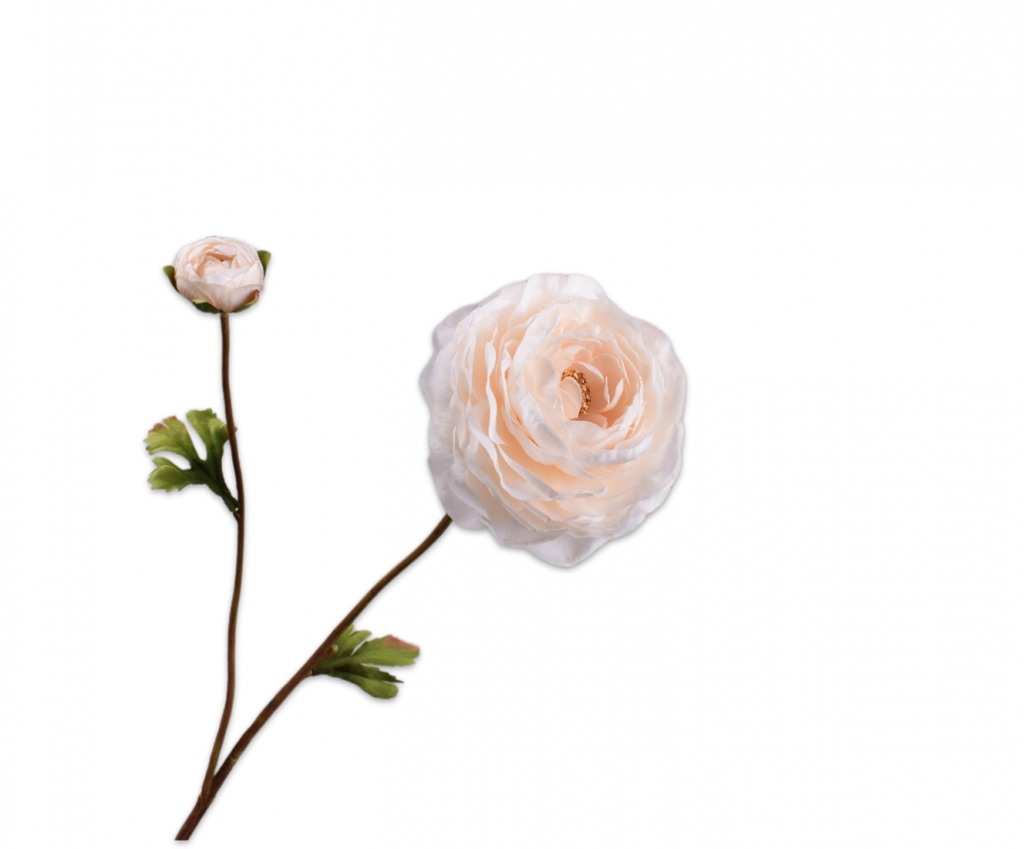 Ranunculus | Renoncule 65cm RealTouch Cream