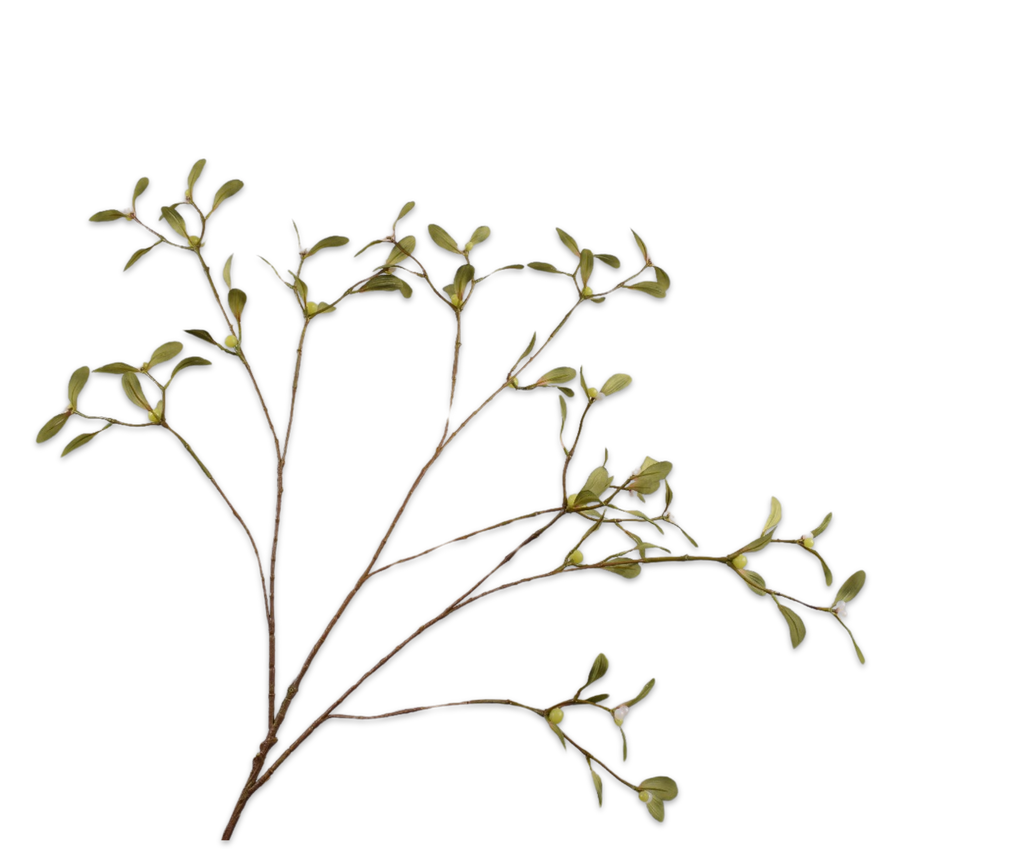 Mistletoe | Gui 108cm Green