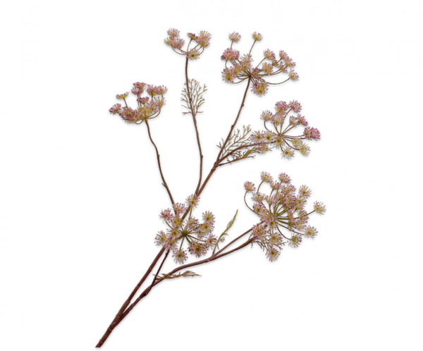 Queen Anne's Lace | Aneth 105cm Lavender