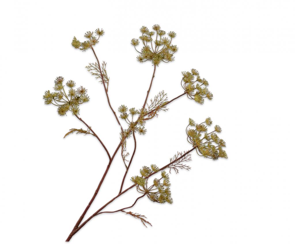 Queen Anne's Lace | Aneth 105cm Green