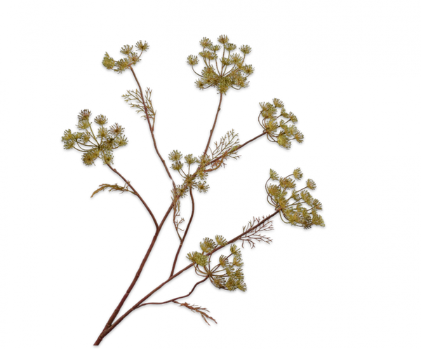 Queen Anne's Lace | Aneth 105cm Green