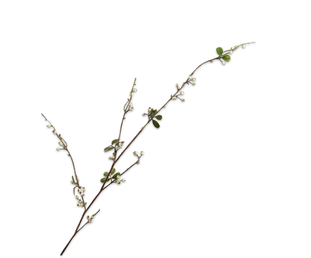 Berries | Baies 124cm White Green
