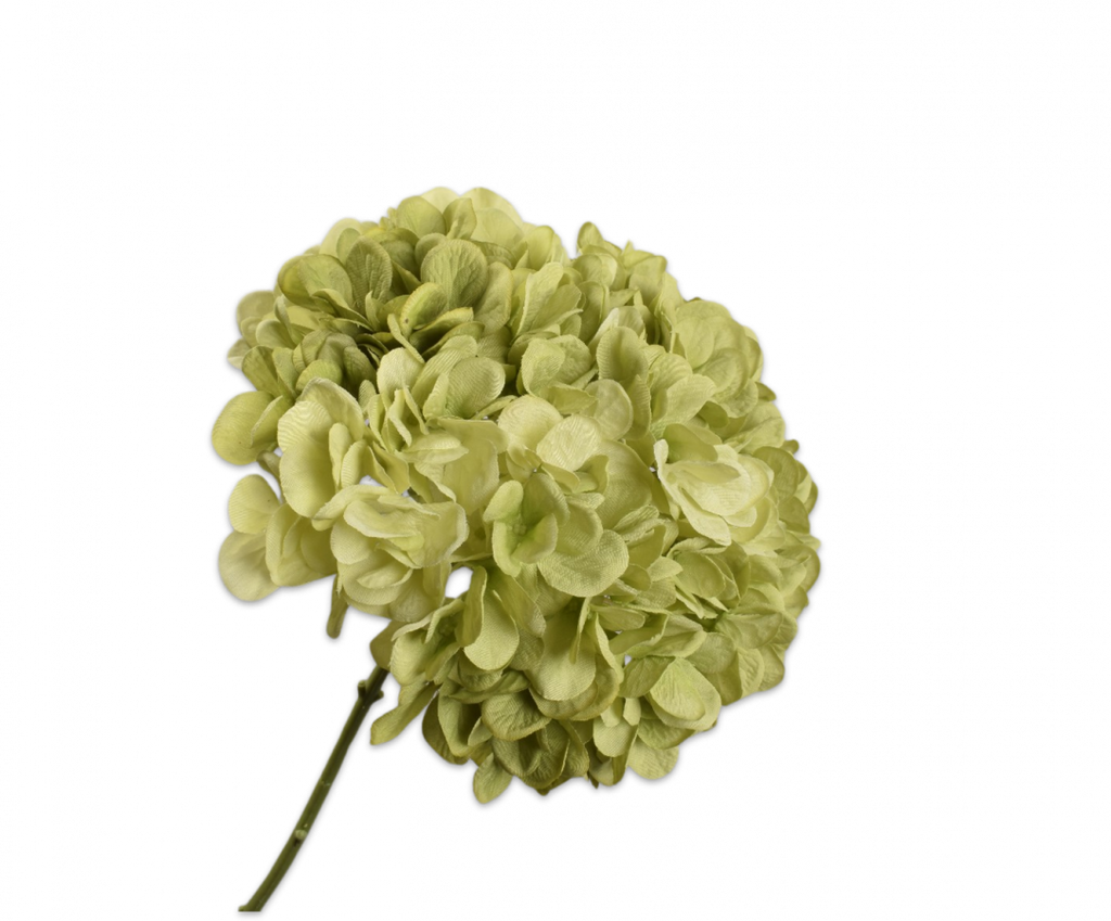 Hydrangea | Hortensia 86cm Light Green