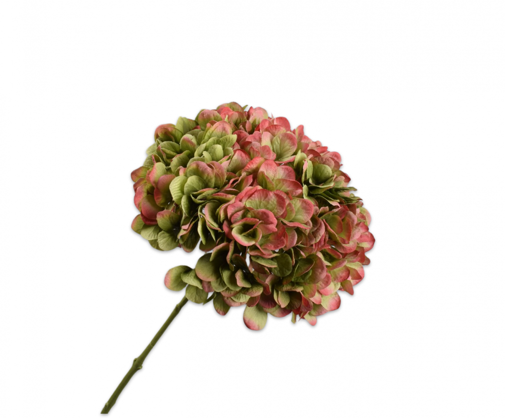 Hydrangea | Hortensia 86cm Green Mauve