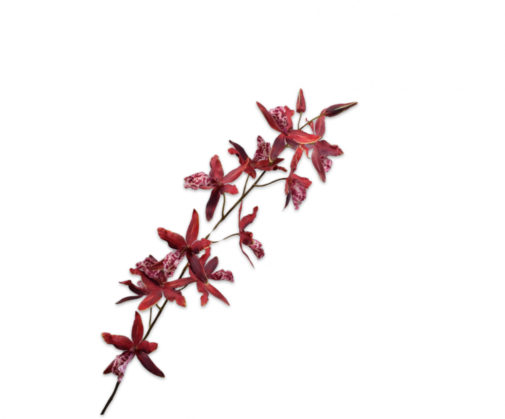 Orchid | Orchidée 109cm Pink