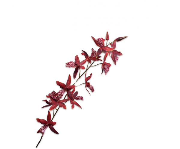 Orchid | Orchidée 109cm Pink