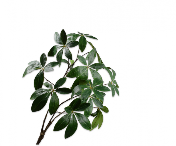 Greenery | Feuillage 82cm Green