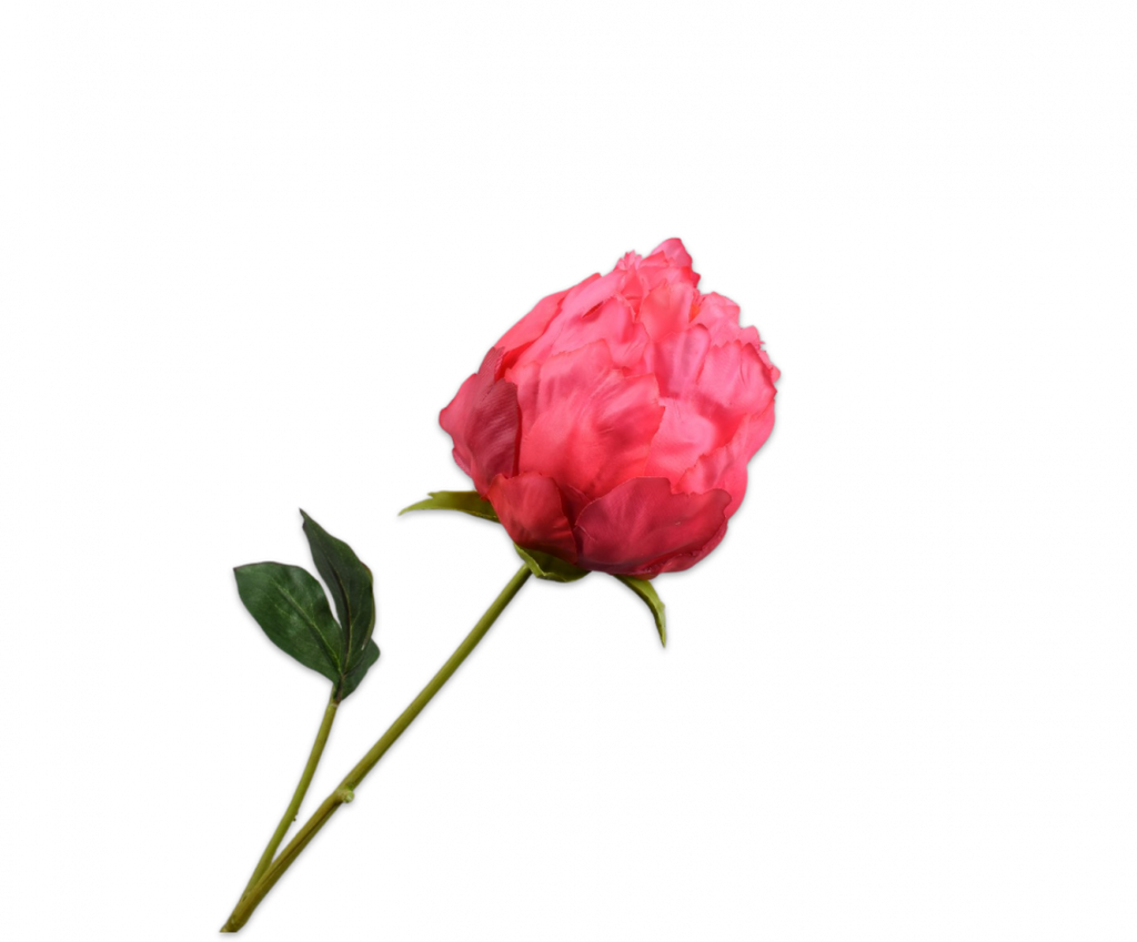 Peony | Pivoine 58cm RealTouch Dark Pink