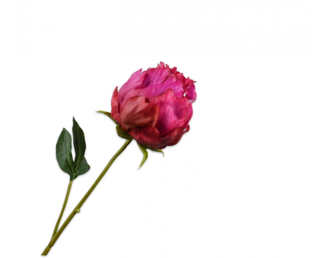 Peony | Pivoine 58cm RealTouch Beauty
