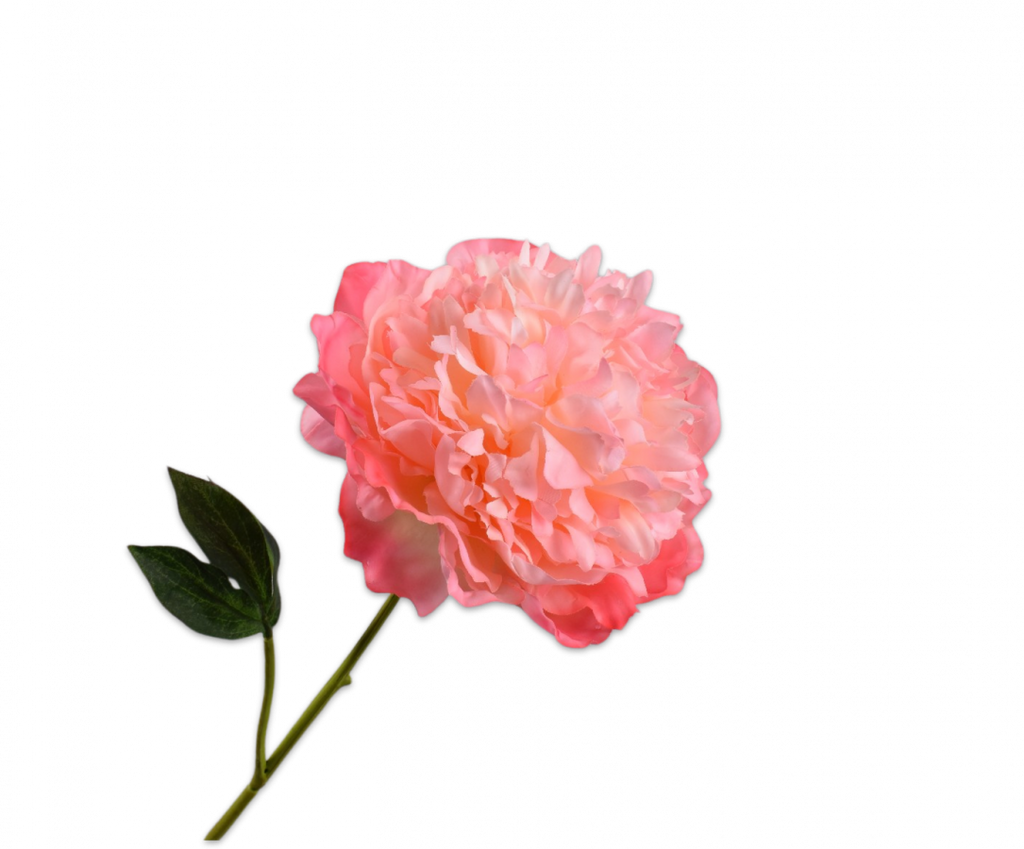 Peony | Pivoine 57cm RealTouch Salmon