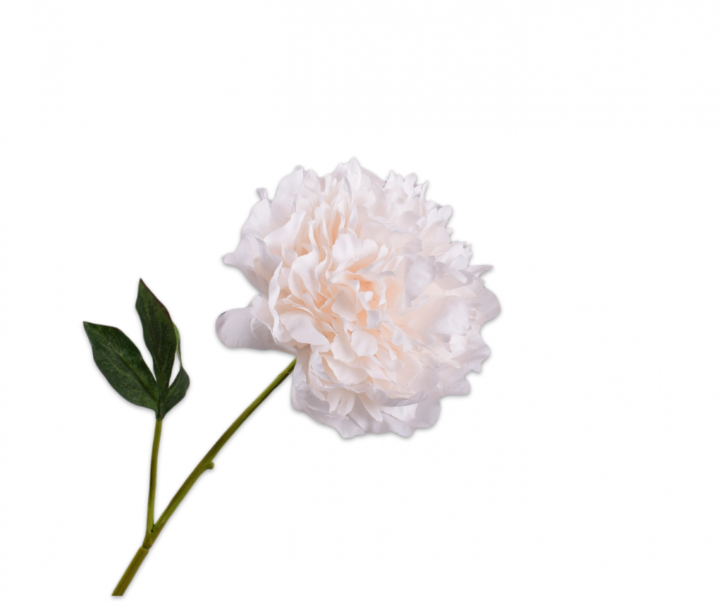 Peony | Pivoine 57cm RealTouch Cream