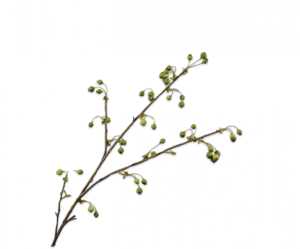 Berries | Baies 111cm Green