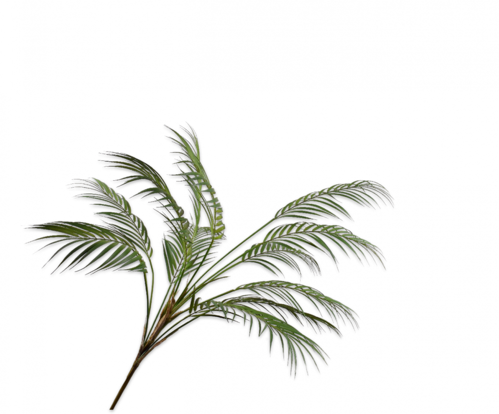 Palm | Palmier 124cm