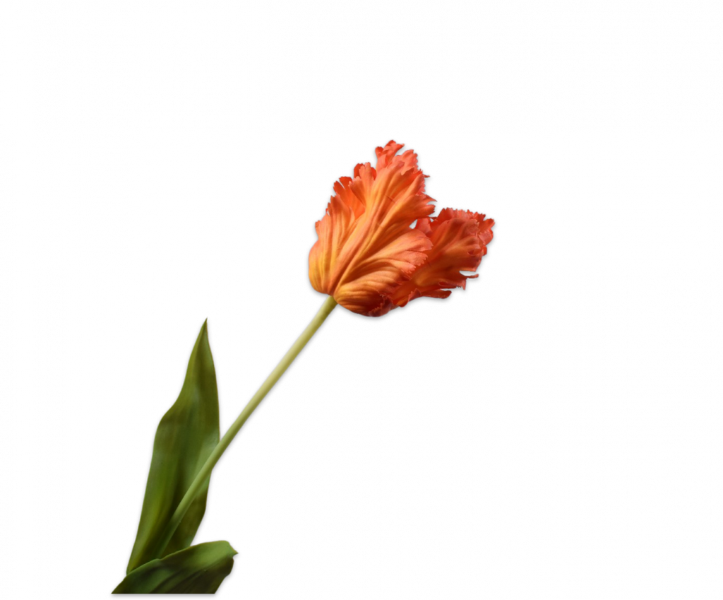 Tulip Parrot | Tulipe Perroquet 71cm RealTouch Orange Red