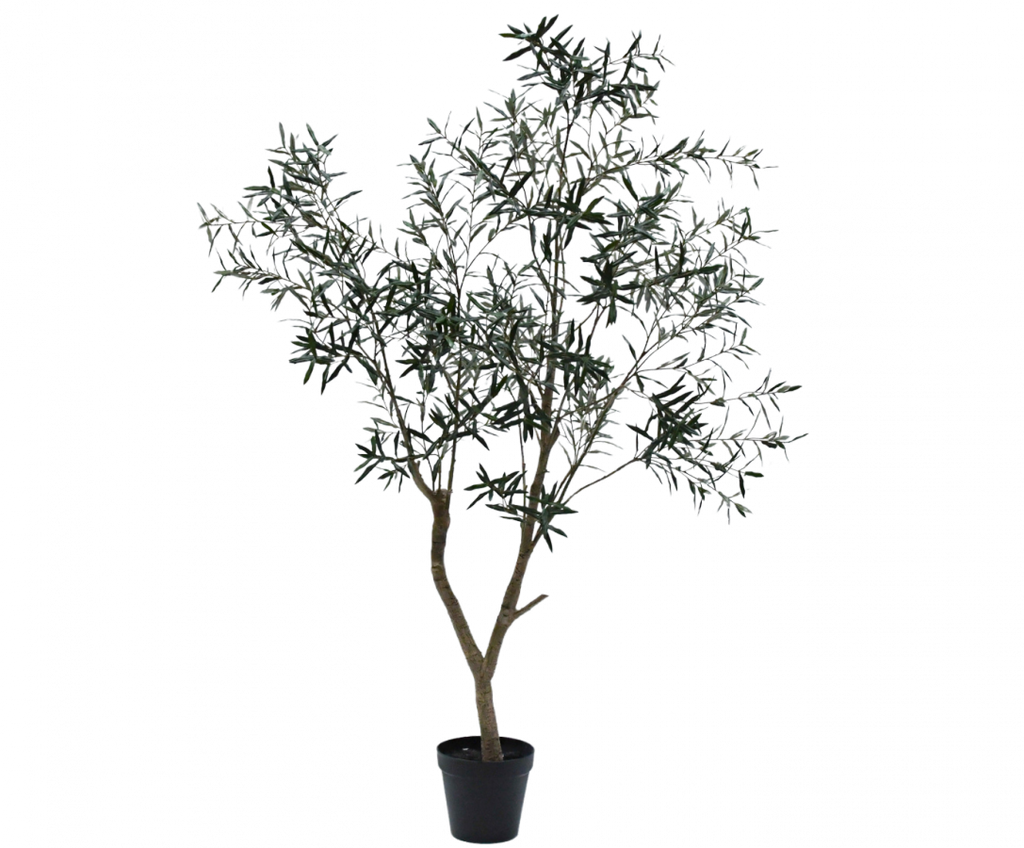 Olive | Olivier 240cm