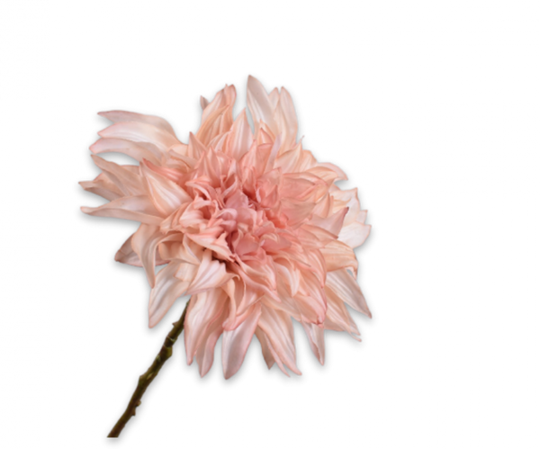 Dahlia 63cm RealTouch Mauve