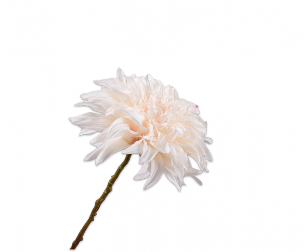 Dahlia 63cm RealTouch Cream