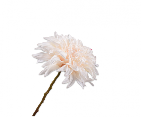 Dahlia 63cm RealTouch Cream