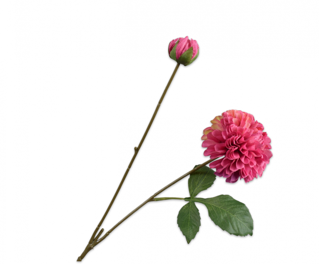Dahlia 73cm Beauty