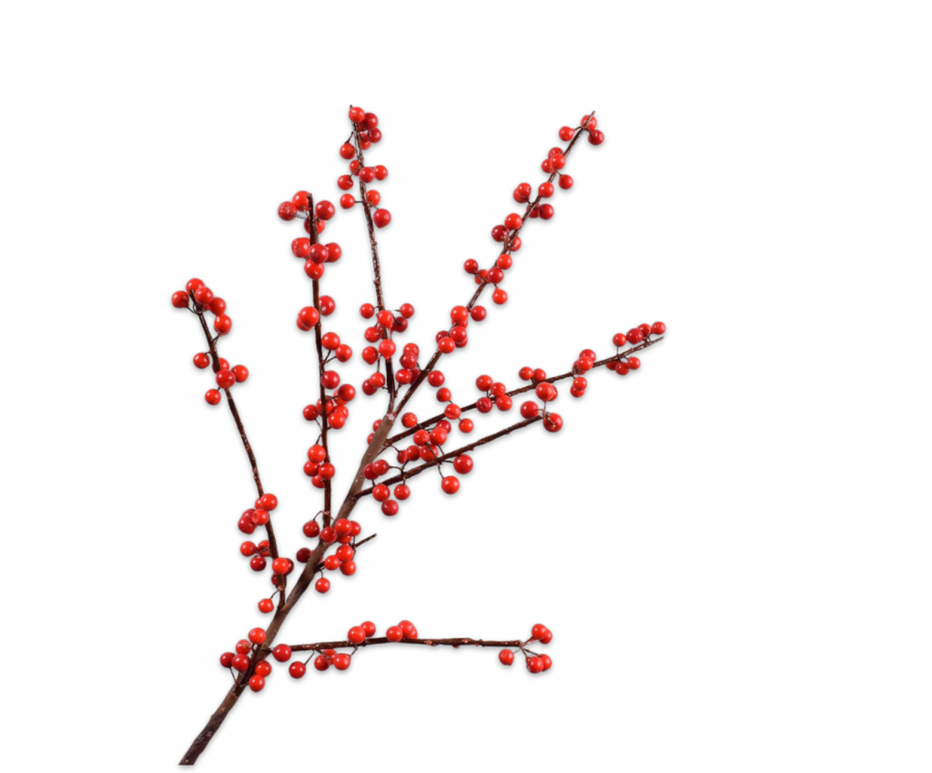 Ilex Berries | Baies 84cm Red
